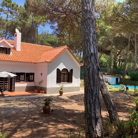 Moradia No Pinhal Com Piscina - Espaco E Privacidade Para As Suas Ferias! Sintra Ngoại thất bức ảnh