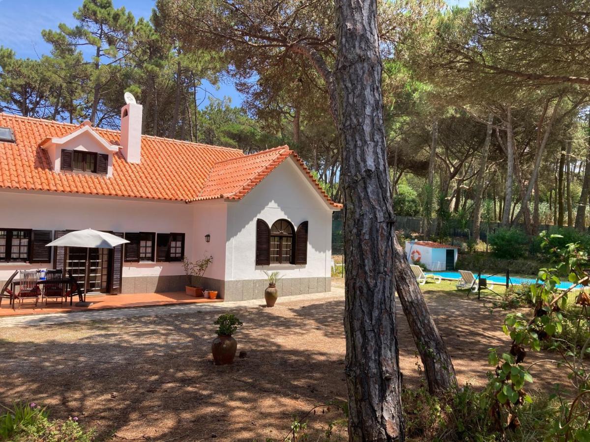 Moradia No Pinhal Com Piscina - Espaco E Privacidade Para As Suas Ferias! Sintra Ngoại thất bức ảnh
