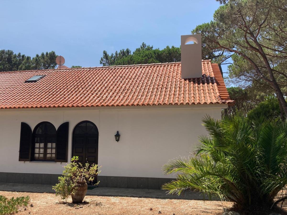 Moradia No Pinhal Com Piscina - Espaco E Privacidade Para As Suas Ferias! Sintra Ngoại thất bức ảnh